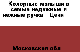 Колорные малыши в самые надежные и нежные ручки › Цена ­ 5 500 - Московская обл., Москва г. Животные и растения » Кошки   